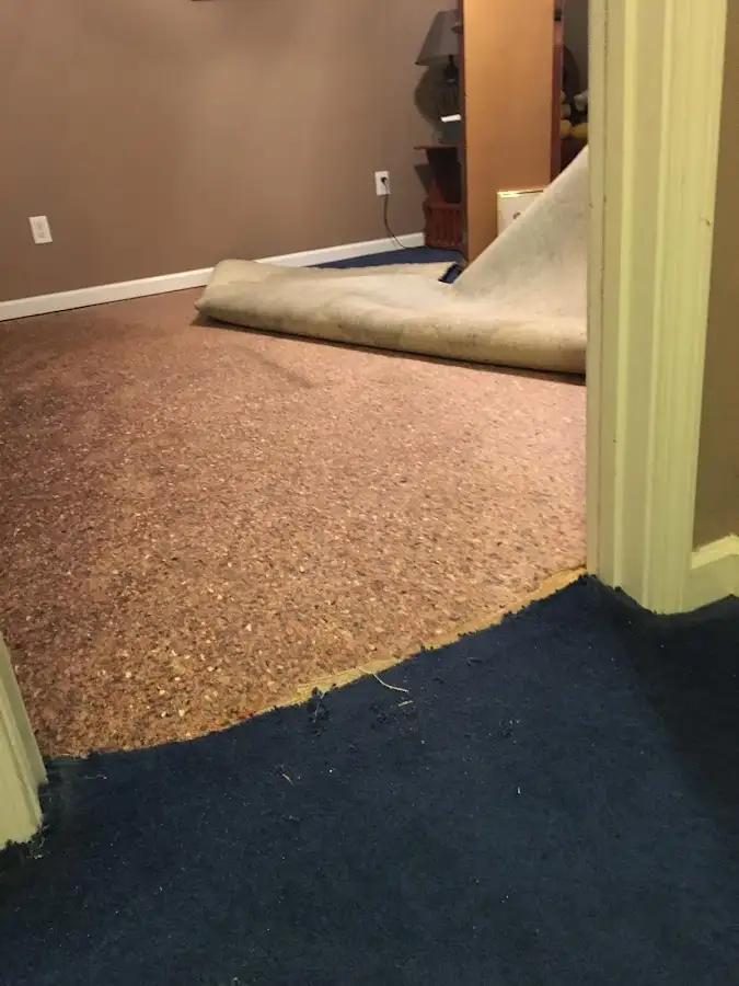 Carpet pad removal revealing water damage during Drying & Dehumidification in Grandview Heights
