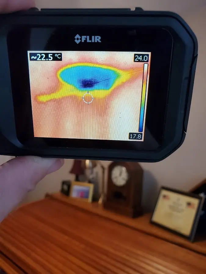 Thermal imaging inspection for water damage in Grandview Heights